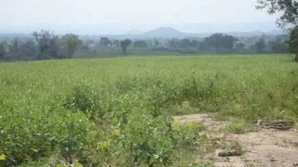 TRAGIC!! Couple Found Dead On Farm In Ebonyi
